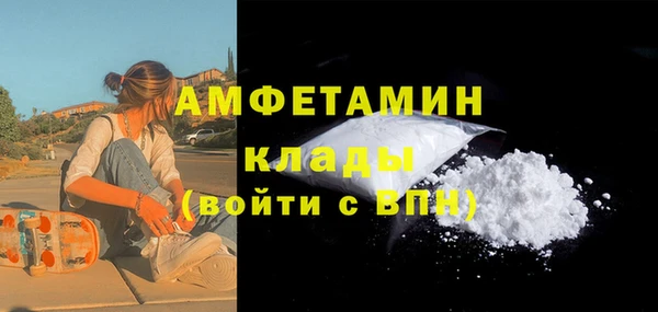 твердый Арсеньев