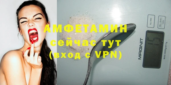 твердый Арсеньев