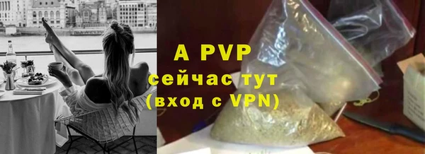 твердый Арсеньев