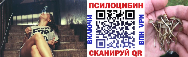 Галлюциногенные грибы мухоморы  где купить наркотик  Темрюк 
